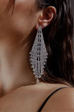Rani Diamante Tassel Earrings Silver -Selfie Leslie Shop ER00084 20SILVER 5
