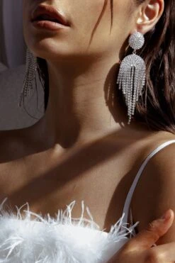 Kiara Circle Cascade Earrings Silver 9 Kiara Circle Cascade Earrings Silver -Selfie Leslie Shop ER00089 20SILVER 2