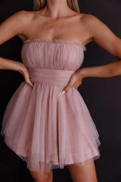 Fayette Strapless Mesh Mini Dress Blush -Selfie Leslie Shop ST3463D 20BLUSH 4