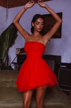 Fayette Strapless Mesh Mini Dress Red 12 Fayette Strapless Mesh Mini Dress Red -Selfie Leslie Shop ST3463D 20RED 5